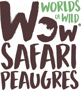 Logo Wow Safari Peaugres